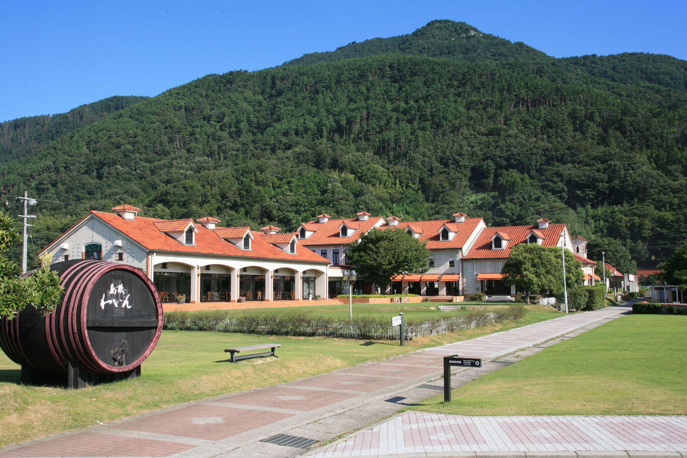 ワイン（島根ワイナリー）