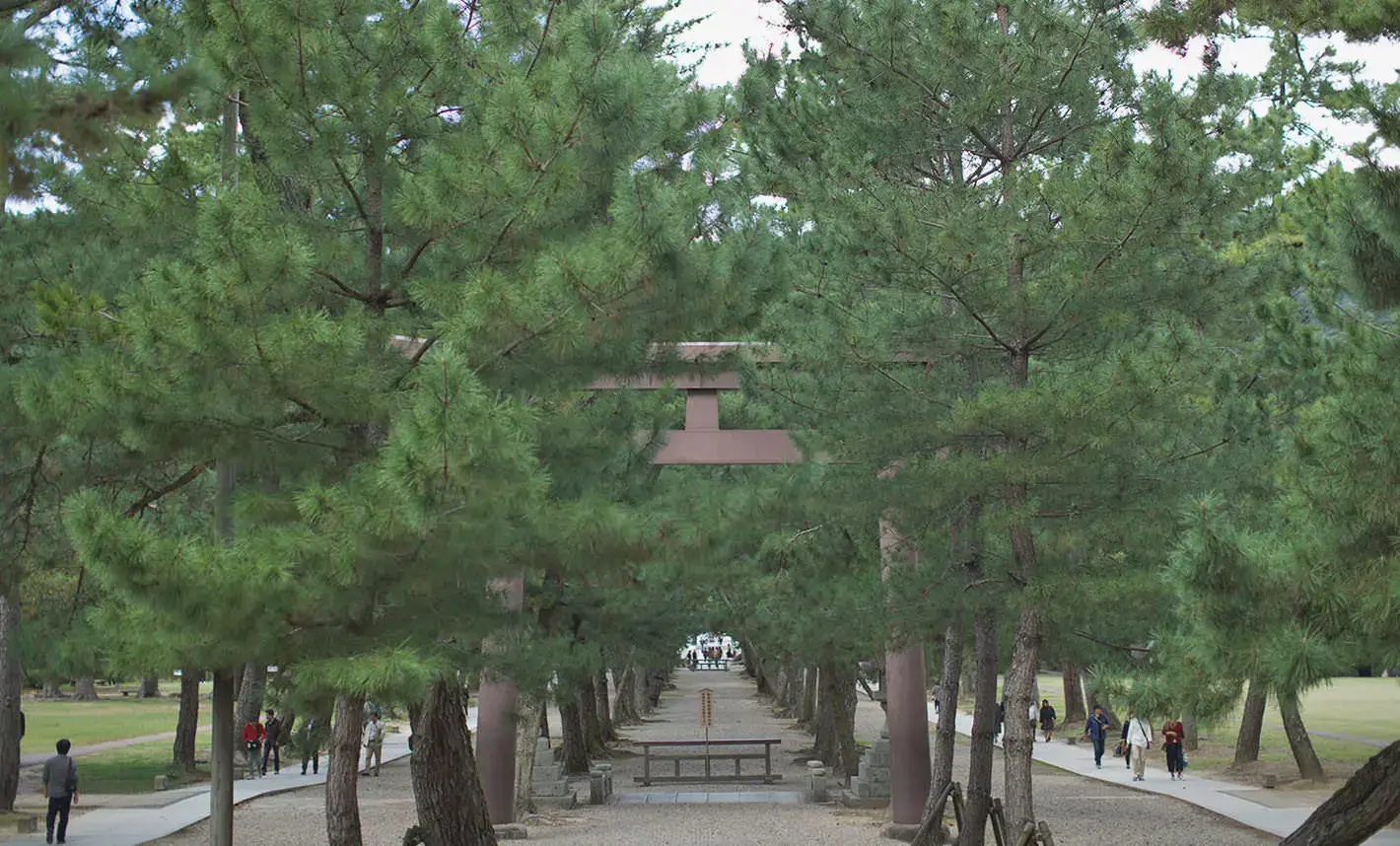 Vol.1 神々の国、出雲大社を歩く旅