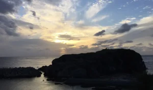 経島ウミネコ繁殖地